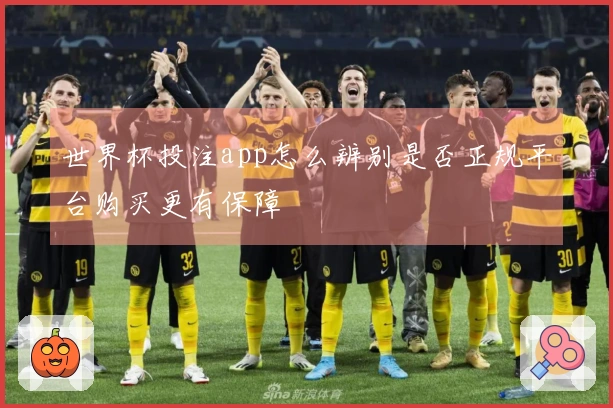 世界杯投注app怎么辨别是否正规平台购买更有保障