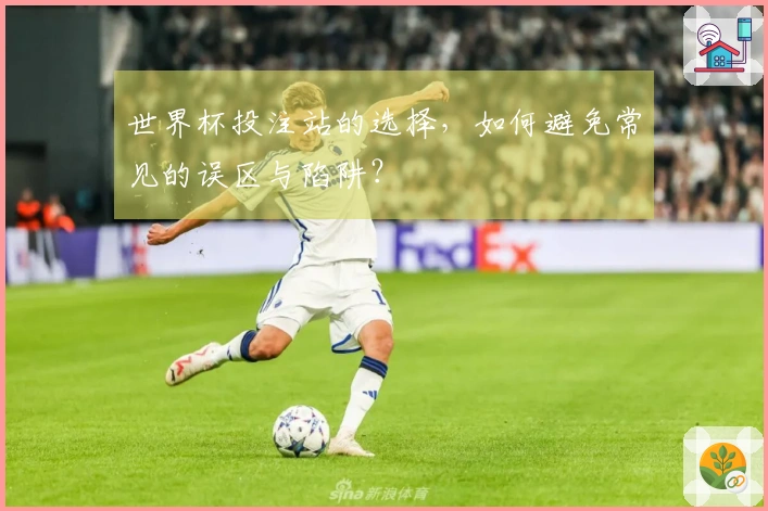 世界杯投注站的选择，如何避免常见的误区与陷阱？