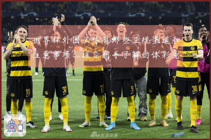 世界杯外围买球有哪些正规渠道和注意事项？适合新手了解的体彩竞猜流程解析