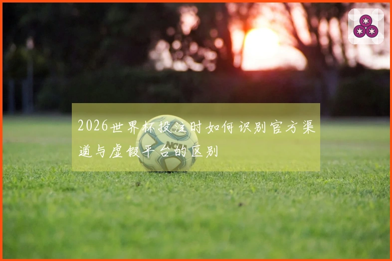 2026世界杯投注时如何识别官方渠道与虚假平台的区别